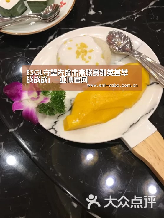ESGL守望先锋未来联赛群英荟萃 战战战!-亚博官网(图1) 亚博平台